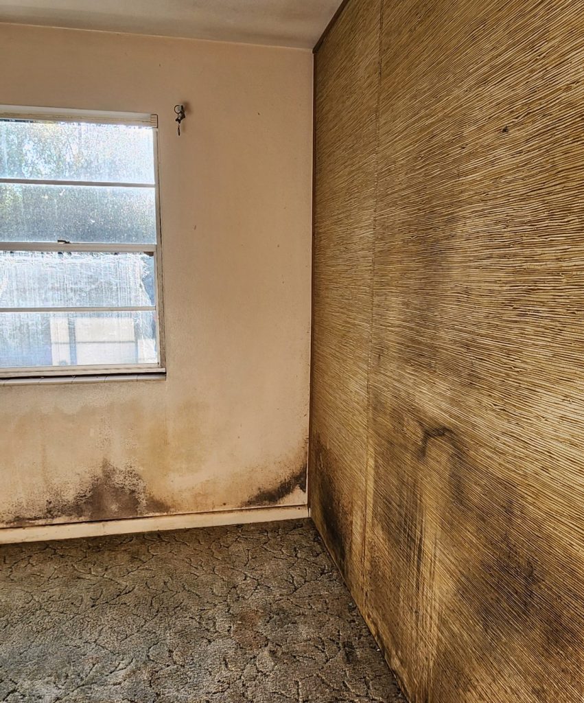 Bathroom before